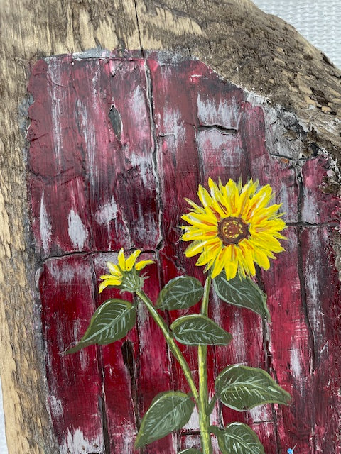 Red Barn Sunflower